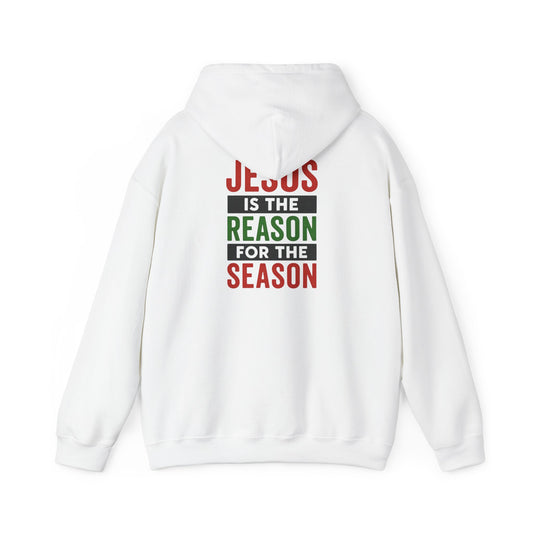 Christmas Collection- Jesus is the Reason for the Season Hoodie