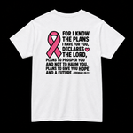 Breast Cancer- The Plan